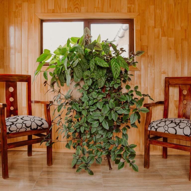 La Lomita Guadal - Three-Bedroom House - 3