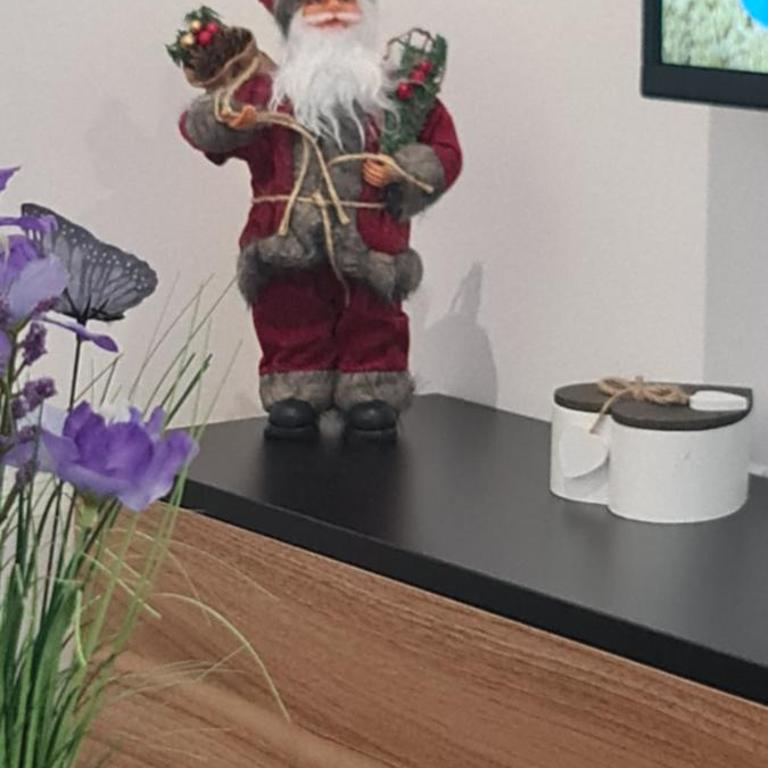 Harmony Zlatibor wellness&spa sa garažnim mestom - Apartman sa 1 Spavaćom Sobom - 10
