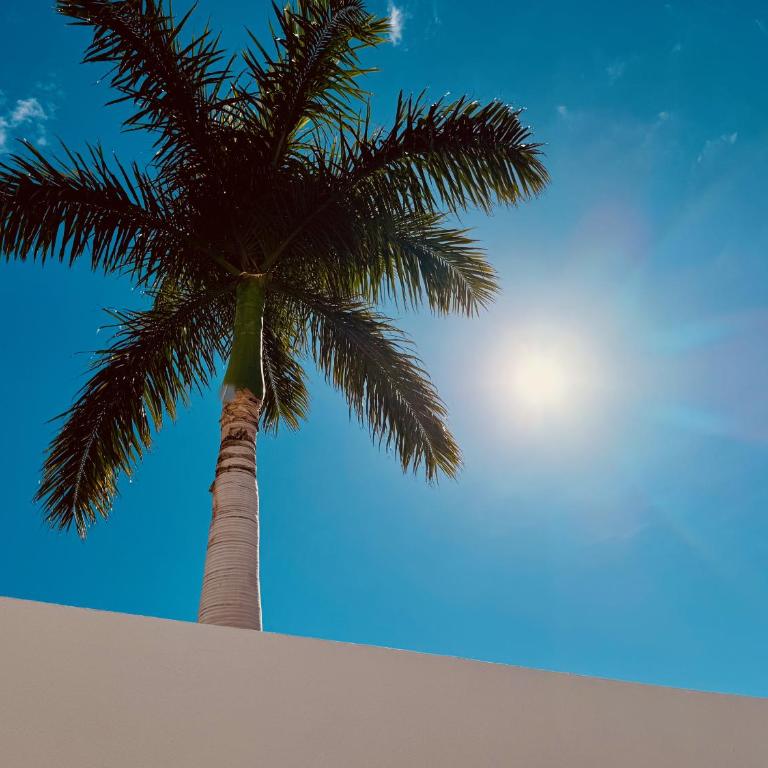 Click&Guest - Sunny Oasis Terrace Maspalomas - Vacation Home - 45