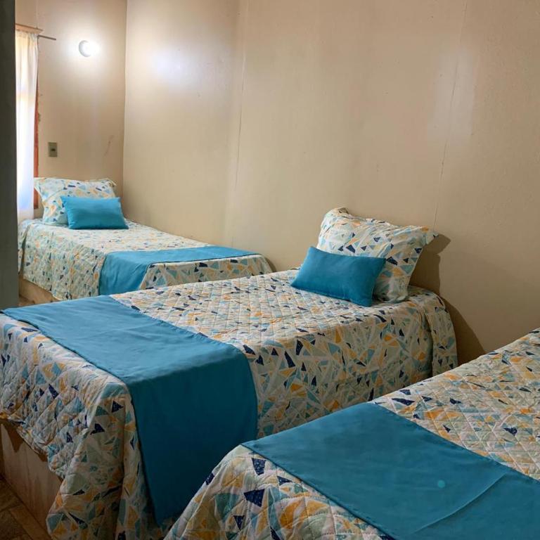 Hostal del Carmen Pucon - Triple Room with Private Bathroom - 1