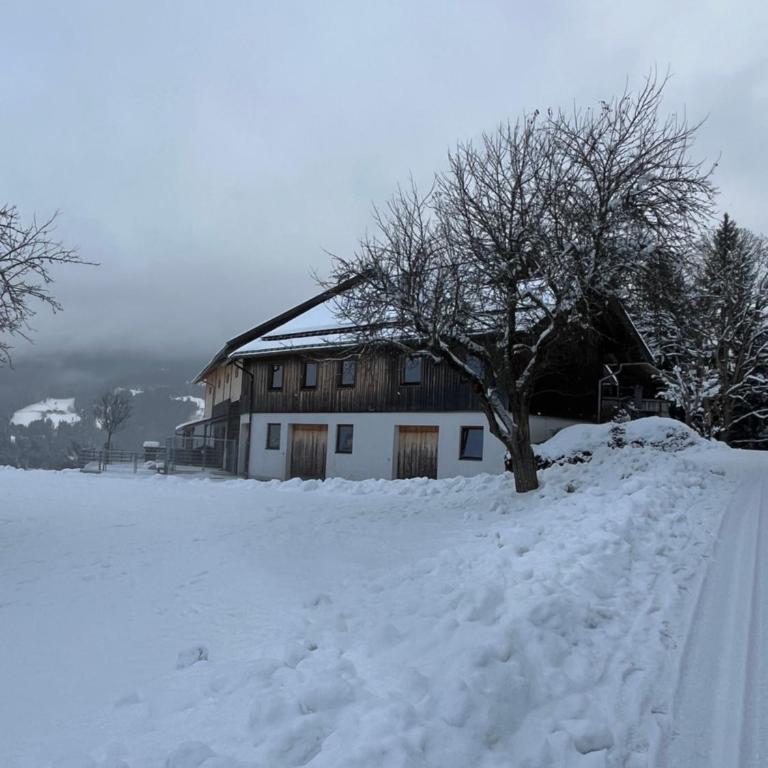 Hornergut - Two-Bedroom Apartment with Terrace - 22