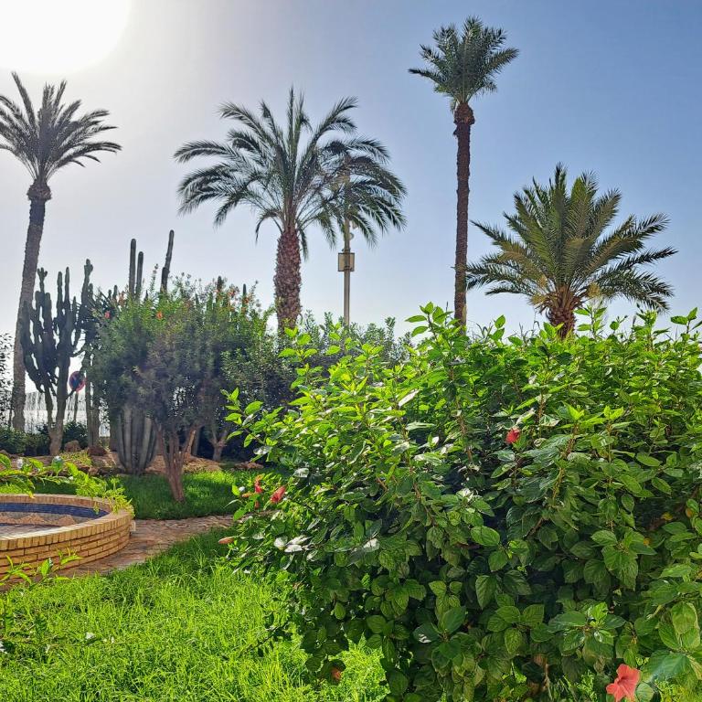 Garden Beach Apartment - Apartamento de 3 dormitorios - 26
