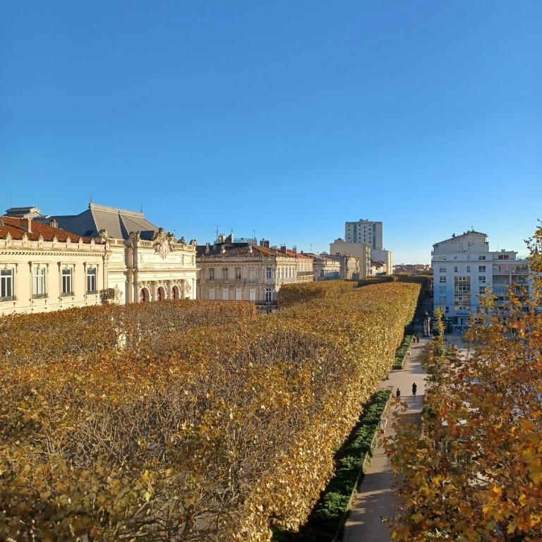 2P Face au Théâtre MOLIERE - Apartment mit 1 Schlafzimmer - 22