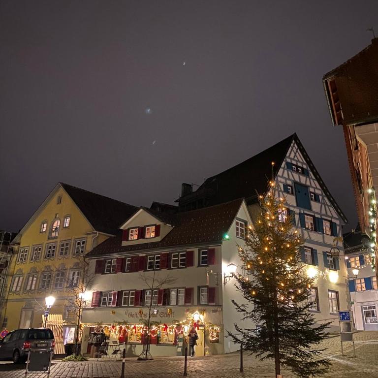 Schöne Wohnung in der Altstadt - Apartment mit 1 Schlafzimmer - 32