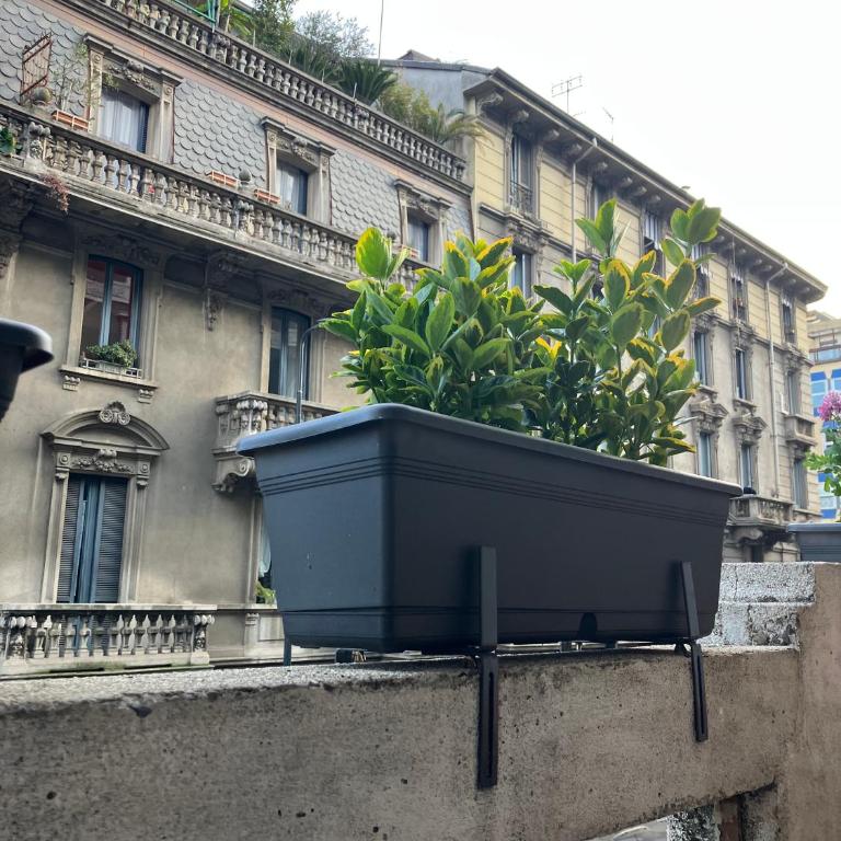 A due passi da Stazione Centrale - Appartamento con 1 Camera da Letto - 17