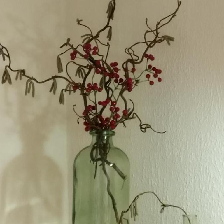 Ferienhaus Erika - Apartment mit 2 Schlafzimmern - 21