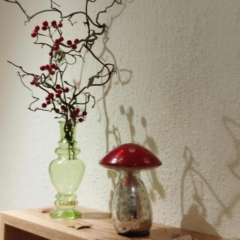 Ferienhaus Erika - Apartment mit 2 Schlafzimmern - 20