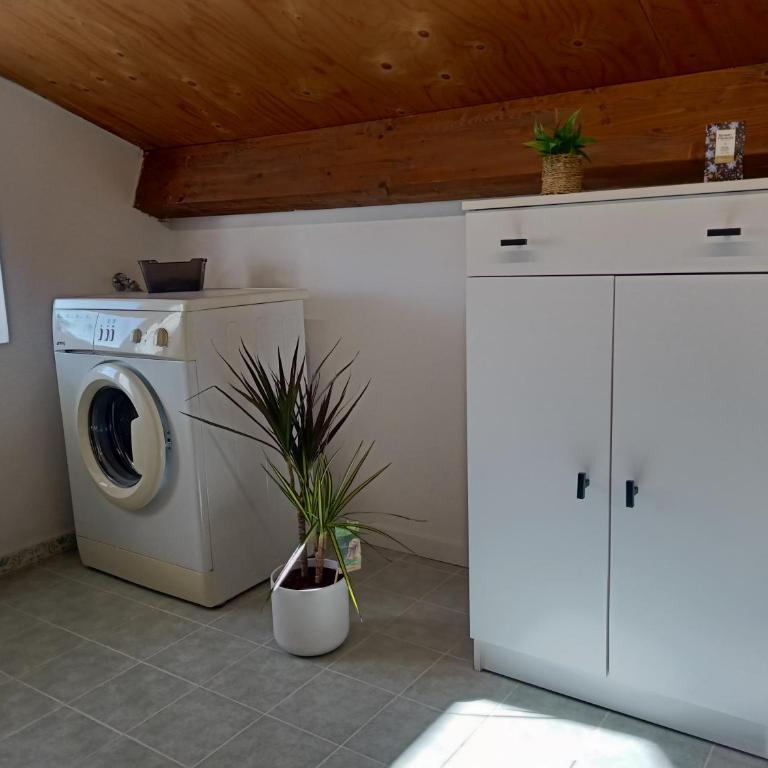 Nuvoleelenzuola - Appartamento con 1 Camera da Letto - 33