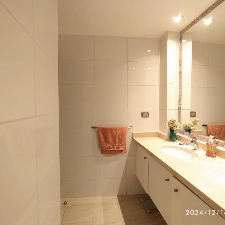 Cómodo departamento en Escuela Militar, Las Condes - One-Bedroom Apartment - 25