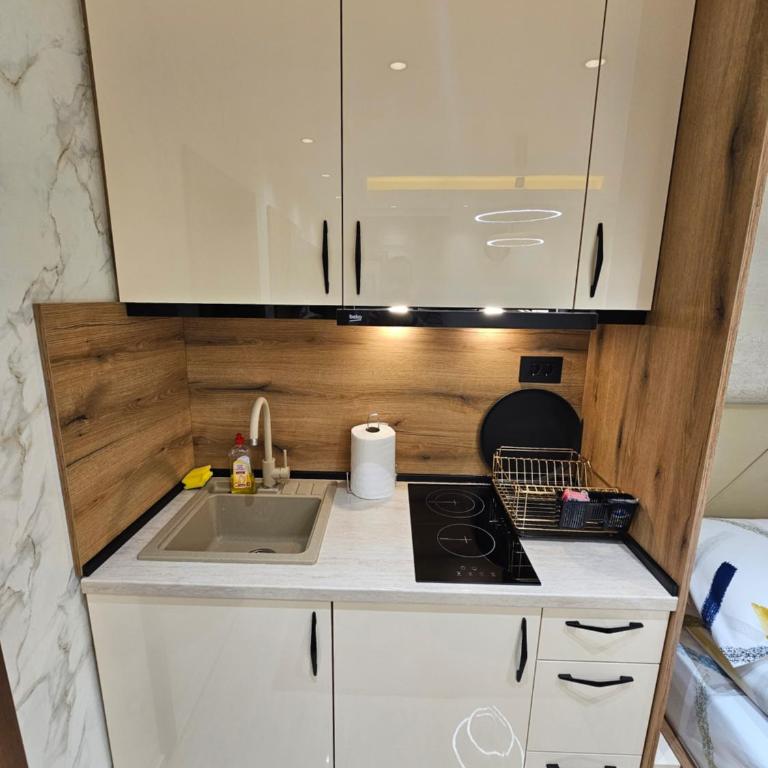 Ebra 75 Kraljevi Cardaci Kopaonik - Apartman sa 1 Spavaćom Sobom - 10