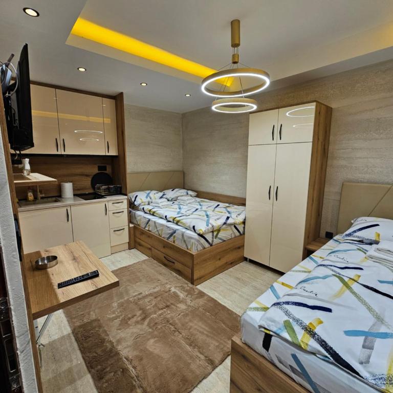 Ebra 75 Kraljevi Cardaci Kopaonik - Apartman sa 1 Spavaćom Sobom - 27