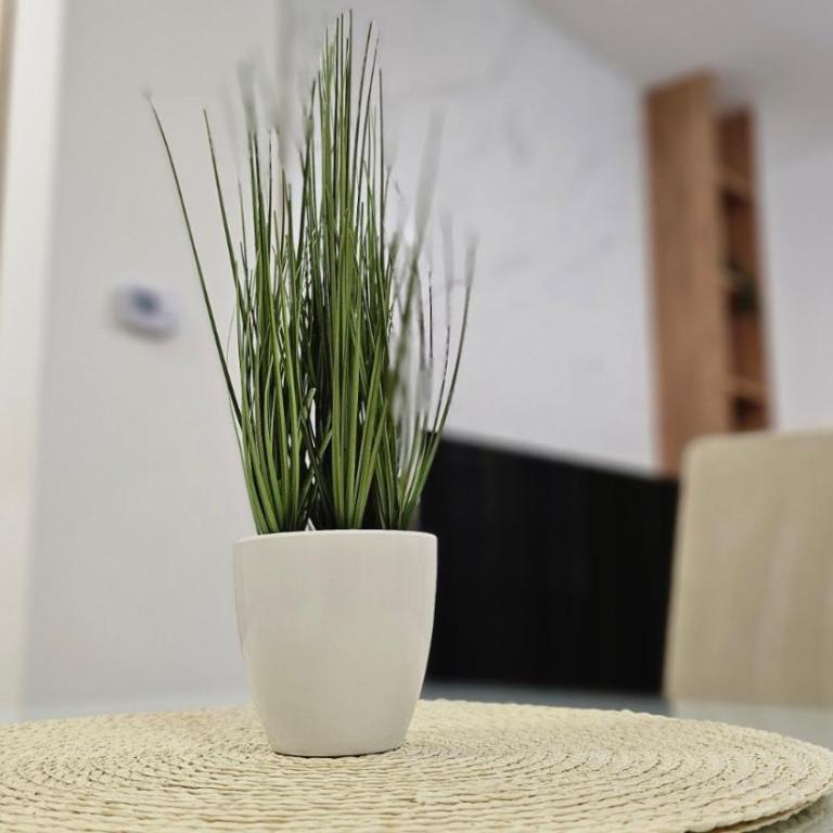 El Placer - Apartman sa 1 Spavaćom Sobom - 8