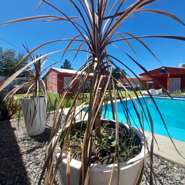 Cabañas Del Volga - Cabaña con vistas al jardín - 6