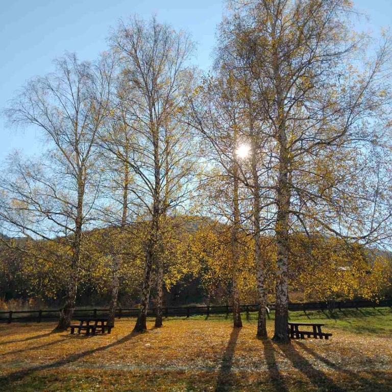 Studio Martin 1 Sokobanja - Park Čuka 2 - Studio sa Terasom - 2
