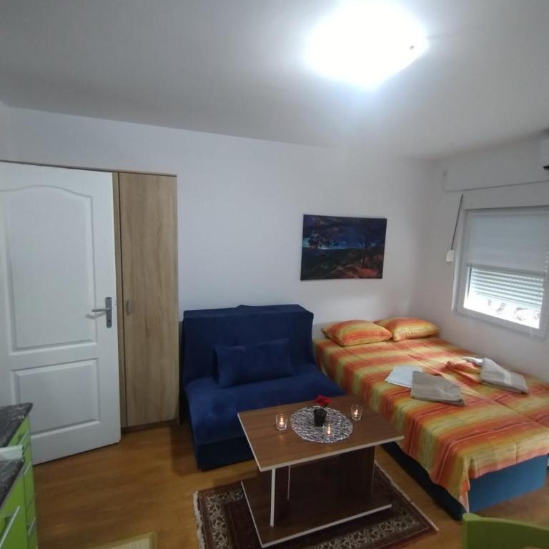 Studio Martin 1 Sokobanja - Park Čuka 2 - Studio sa Terasom - 4