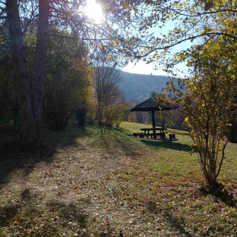 Studio Martin 1 Sokobanja - Park Čuka 2 - Studio sa Terasom - 7
