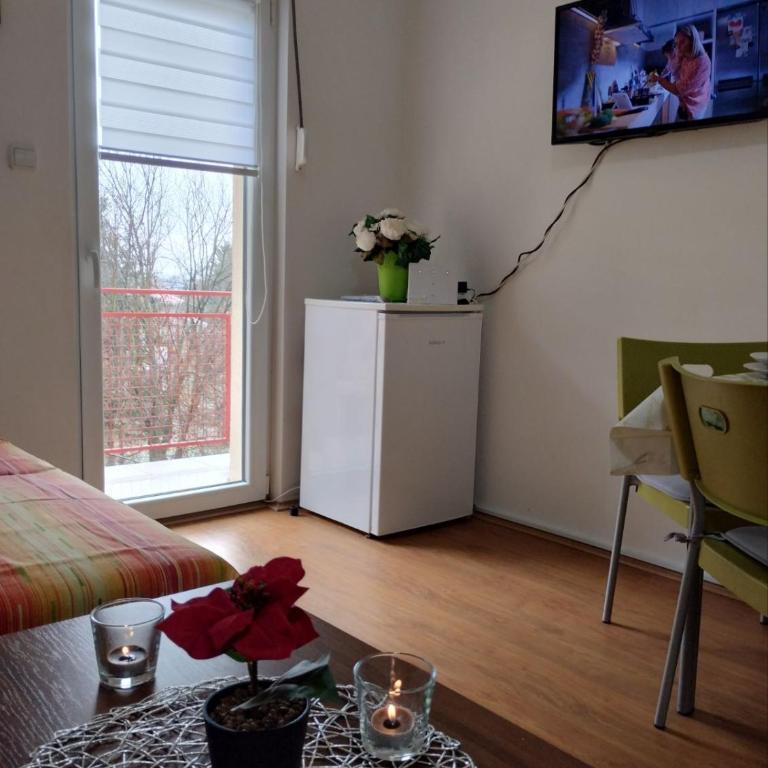 Studio Martin 1 Sokobanja - Park Čuka 2 - Studio sa Terasom - 17