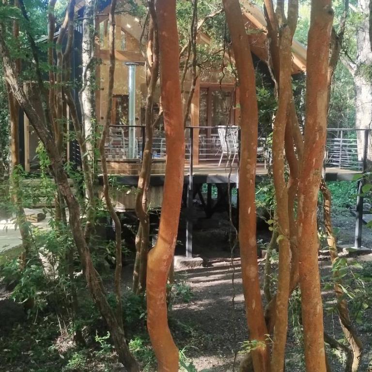 Cabaña en molco,entre Villarrica y Pucón - Casa Unifamiliar de 2 dormitorios - 62