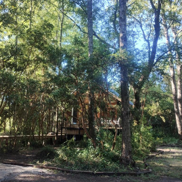Cabaña en molco,entre Villarrica y Pucón - Casa Unifamiliar de 2 dormitorios - 63