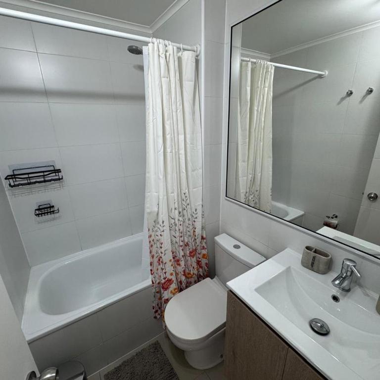 HOM I Luminoso y Comodo Depto 1D1B 3 PAX STGO - Apartamento - 25