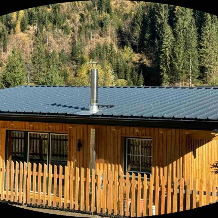 Landhaus Riesneralm - Chalet con 2 Camere da Letto - 1