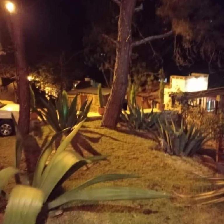 Cabaña Casa Alpes Mazamitla - Three-Bedroom House - 12