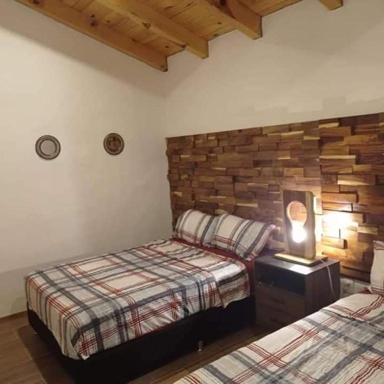 Cabaña Casa Alpes Mazamitla - Three-Bedroom House - 24
