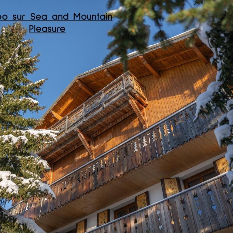 Chalet Alpe d'Huez 1850-Sea and Mountain Pleasure Avec 2 appartements- 1 Appartement 3 Chambres 8 Couchages - 3 Salles d'eau et 1 Appartement 5 Chambres 12 Couchages 5 Salles d'eau - Jacuzzi et Sauna -Pieds des Pistes et Centre - Appartement avec Balcon - 2