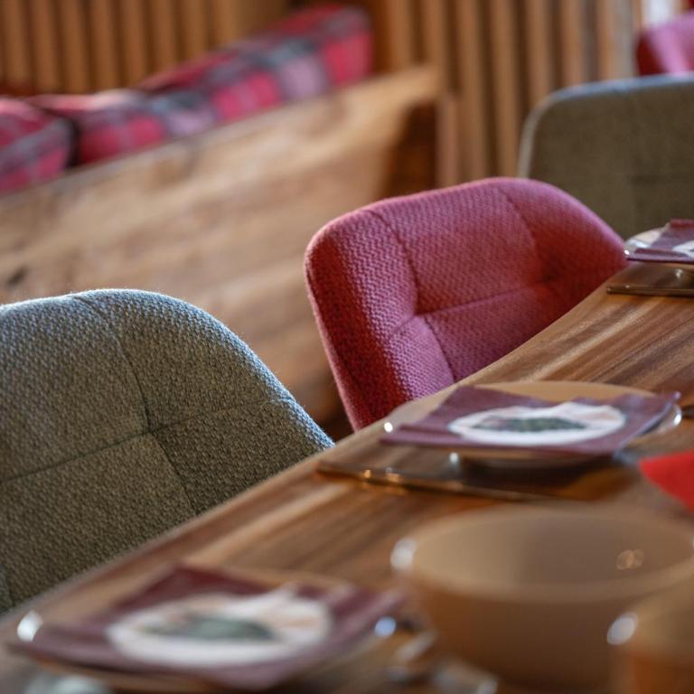 Chalet Alpe d'Huez 1850-Sea and Mountain Pleasure Avec 2 appartements- 1 Appartement 3 Chambres 8 Couchages - 3 Salles d'eau et 1 Appartement 5 Chambres 12 Couchages 5 Salles d'eau - Jacuzzi et Sauna -Pieds des Pistes et Centre - Appartement avec Balcon - 50