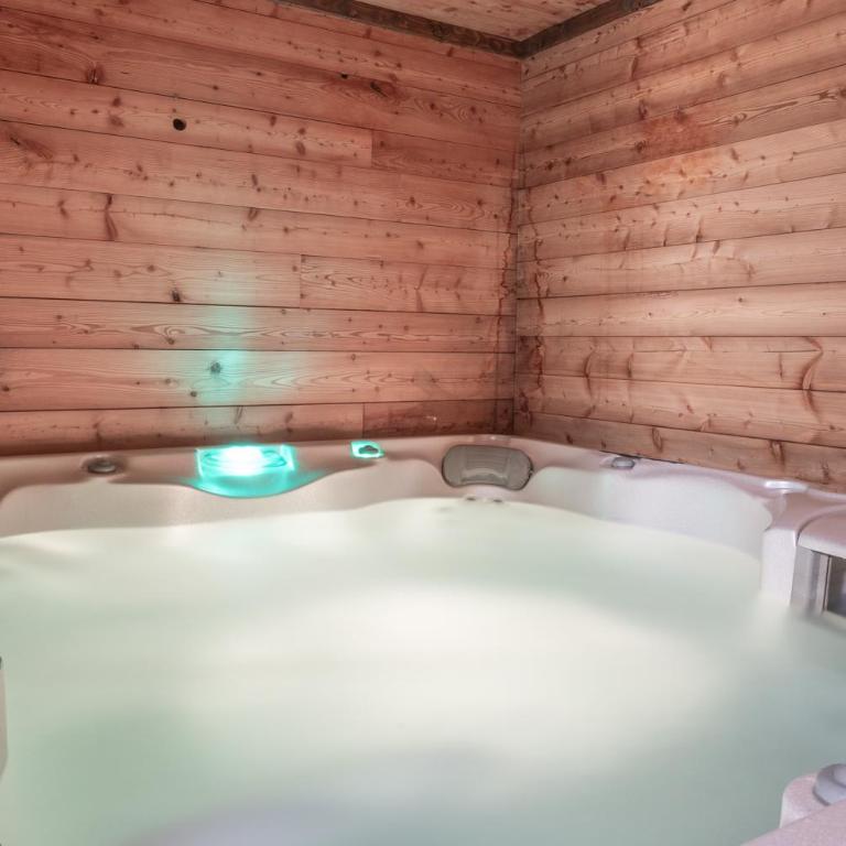 Chalet Alpe d'Huez 1850-Sea and Mountain Pleasure Avec 2 appartements- 1 Appartement 3 Chambres 8 Couchages - 3 Salles d'eau et 1 Appartement 5 Chambres 12 Couchages 5 Salles d'eau - Jacuzzi et Sauna -Pieds des Pistes et Centre - Appartement avec Balcon - 88