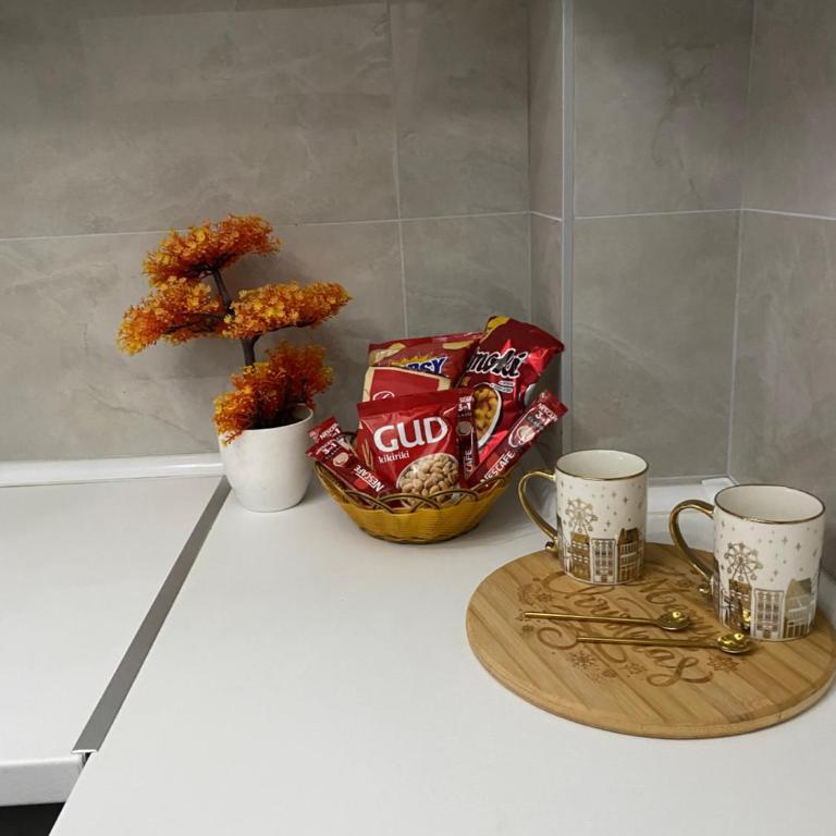 Festina Apartman - Apartman sa 1 Spavaćom Sobom - 8