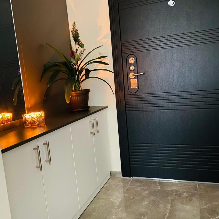 Festina Apartman - Apartman sa 1 Spavaćom Sobom - 13