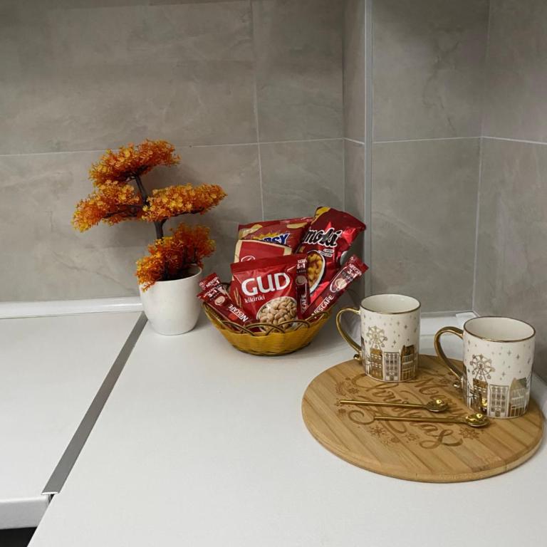 Festina Apartman - Apartman sa 1 Spavaćom Sobom - 20