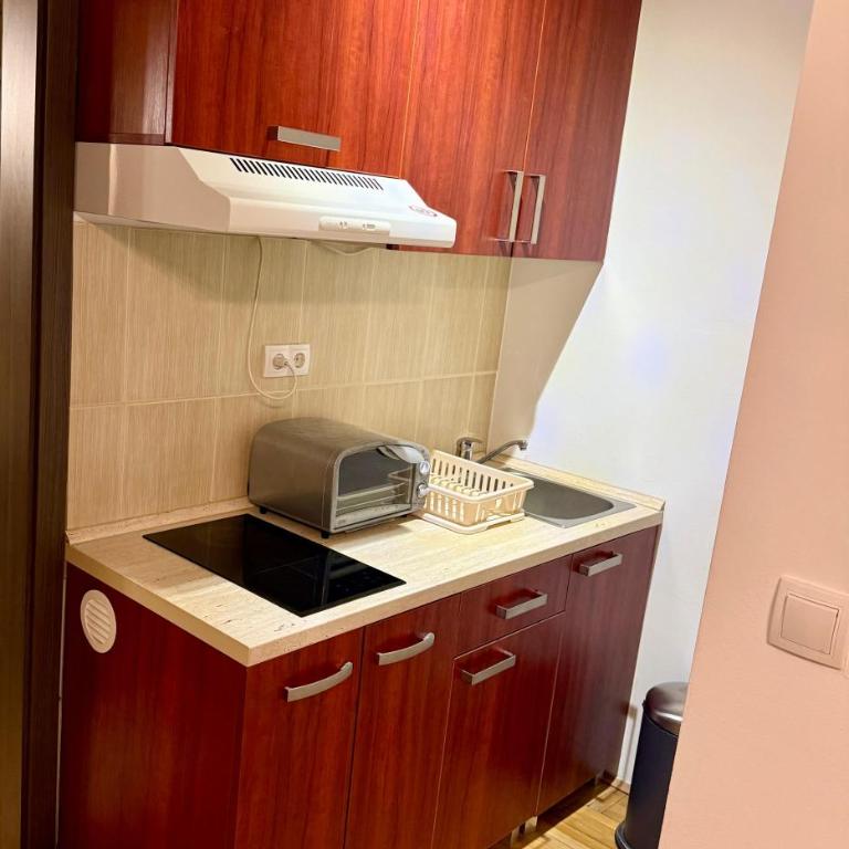 Apartman Filipovic - Kraljevi Cardaci - Kopaonik - Apartman sa 1 Spavaćom Sobom - 8