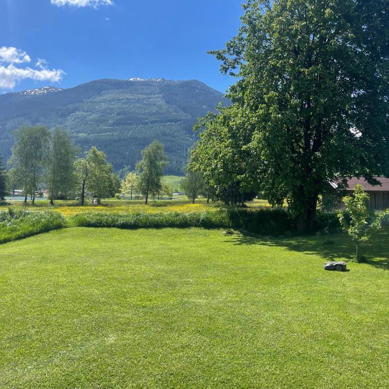 Apartment Haus am See - Studio mit Terrasse - 13