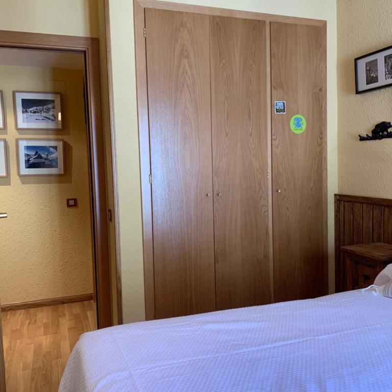 Benasque 26 - Apartamento con vistas a las montañas - 29