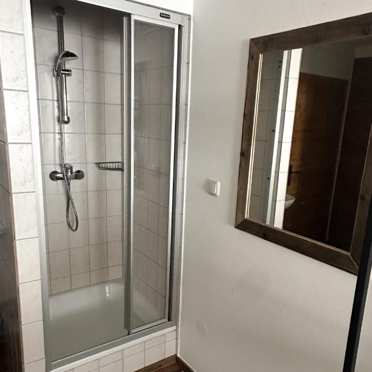 BIO-Bauernhof Hatzbauer - Einzelzimmer - 7
