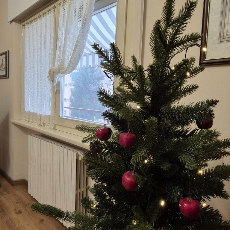 Due passi dal Te - Appartamento Standard con 2 Camere da Letto - 15