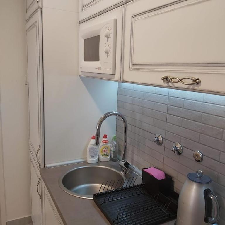 Belgrade Luxury Apartments VIS, Vračar - Apartman sa 2 Spavaće Sobe - 7