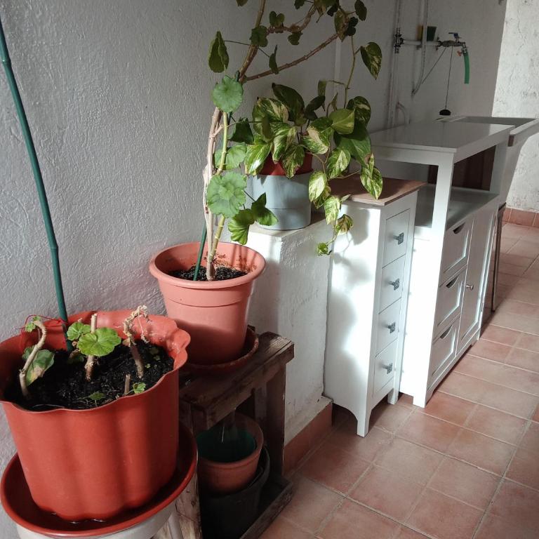 Maison de charme 2 terrasses, en ville, mer, port. - Casa Unifamiliar de 3 dormitorios - 22
