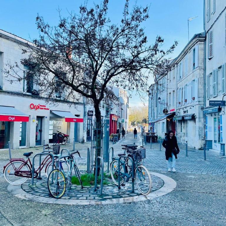 Le Saint Nicolas, Hypercentre, LR123 - Apartment mit 1 Schlafzimmer – Nichtraucher - 28