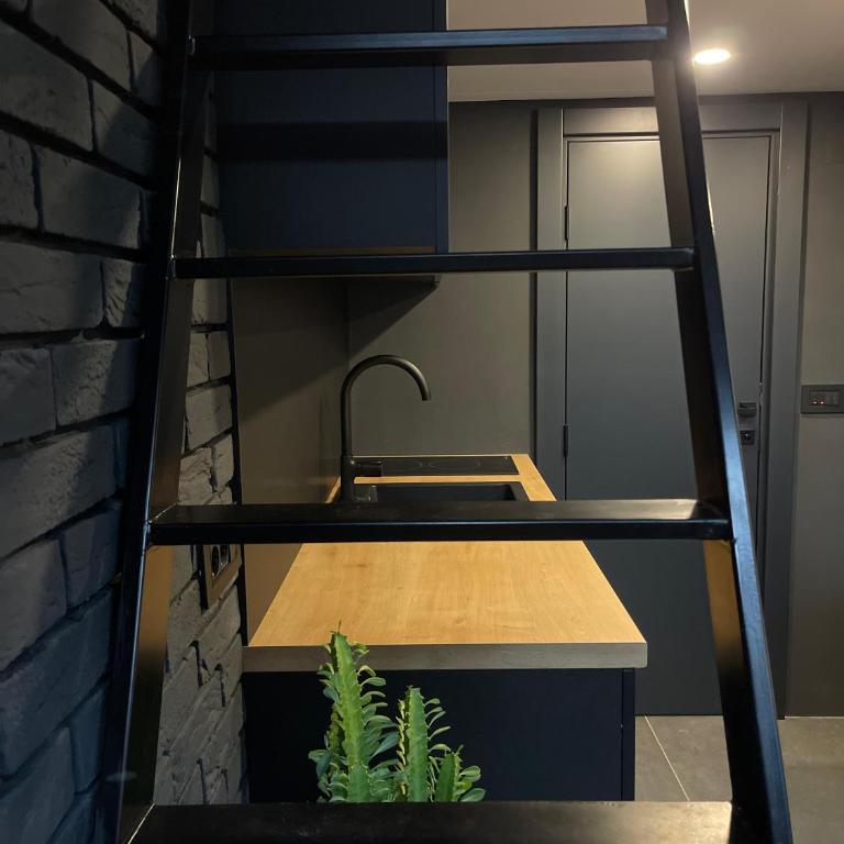 Garage Apartments - Studio - na Više Nivoa - 11