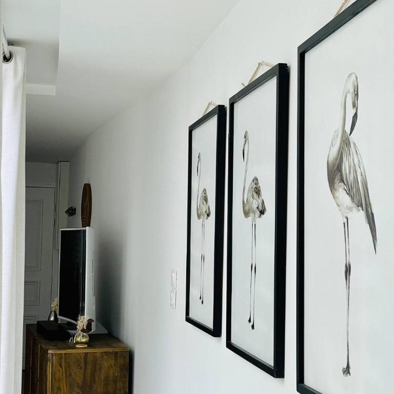 Le Flamant, centre ville, LR132 - One-Bedroom Standard Apartment - 50