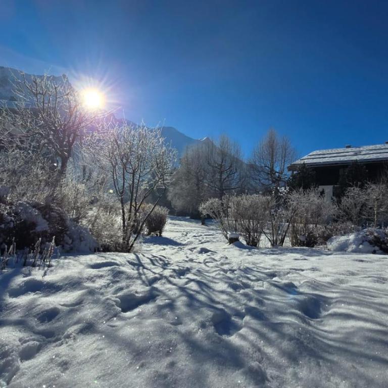 Alpine Escape Mont Blanc at Your Window - Appartement - 65