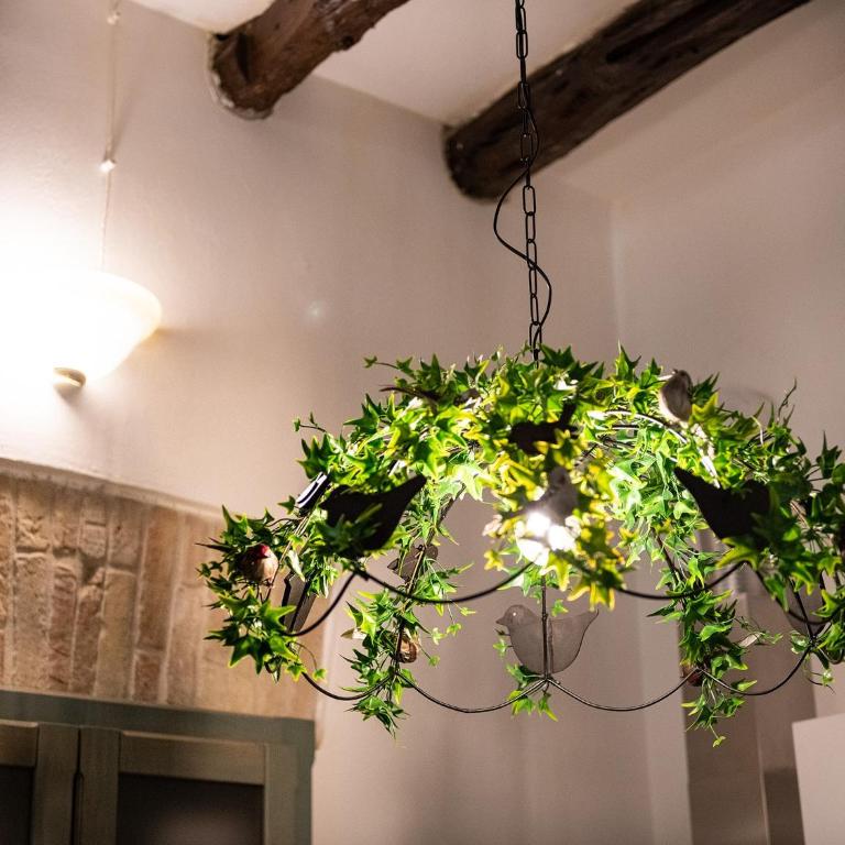 Charm in Villanova - Appartamento con 2 Camere da Letto - 24