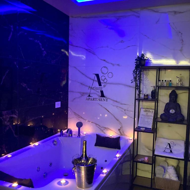Apartman Atrium Banja Luka - One-Bedroom Apartment - 9