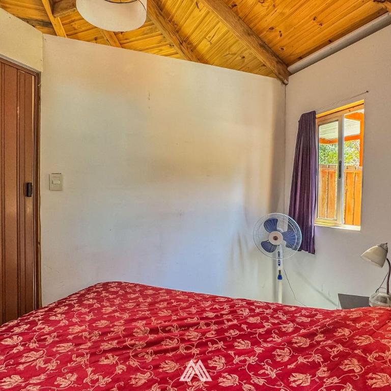 SAGRADAS de LA PALOMA - Casa con 1 dormitorio - 8