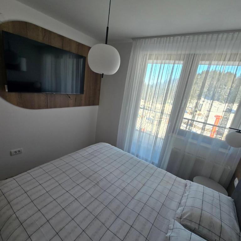 Lu and Ma - One-Bedroom Apartment - 9