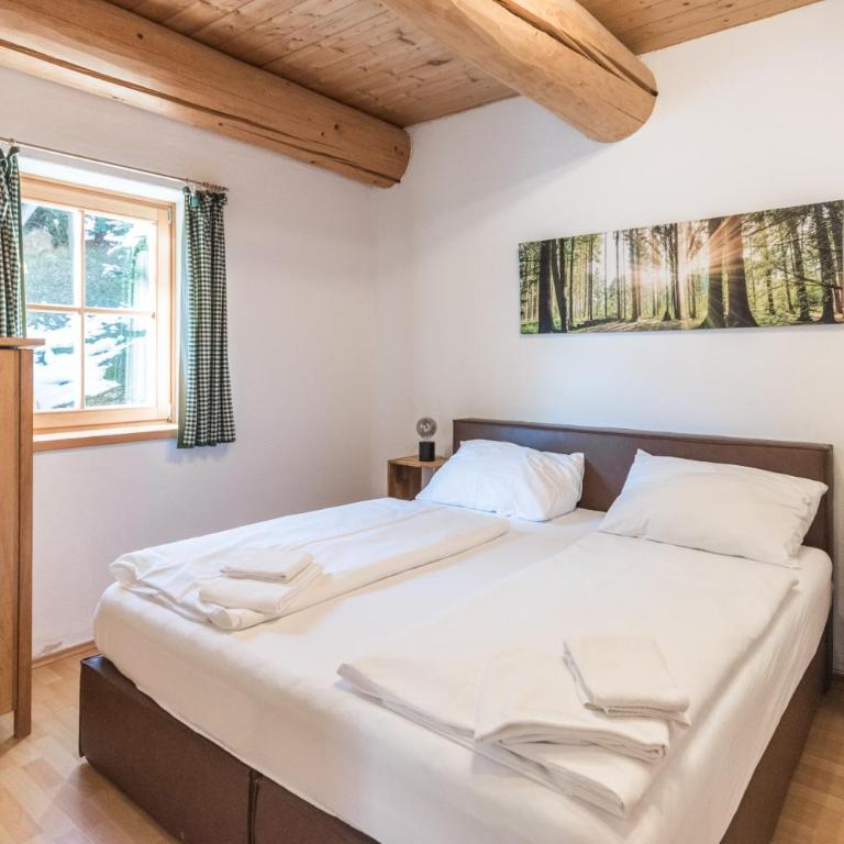 Ski-N-Lake Chalet One - Chalet mit 4 Schlafzimmern und Terrasse - 8