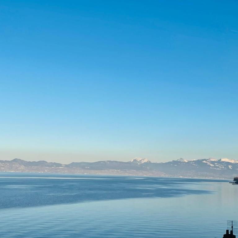 Luxe,calme et volupté - Appartement - Vue sur Lac - 9